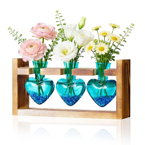 Nacome Plant Terrarium with Wooden Stand, 3 Heart Bulb Glass Vases - color: Blue