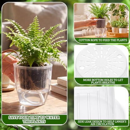 Self Watering Plant Pots, 3.5'', Transparent, 72 Pcs - color: Transparent, size: 3.5''