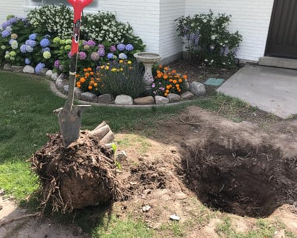 Root Slayer 22011 Garden Shovel, Serrated Blade, Red - color: Red, size: Large