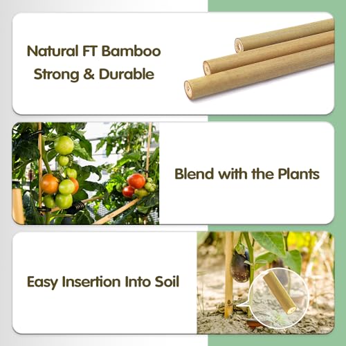 Bamboo Stakes,3FT Natural Bamboo Garden Stakes,BOVITRO 25Pcs Plant Stakes - size: 36 Inches, Pack of 25