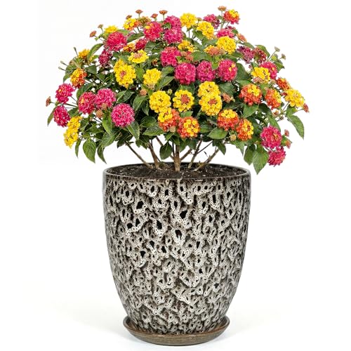 9.5 Inch Flower Pots for Indoor Plants,Ceramic Planter with Saucer Drainage Leak-Proof Mesh Gardening Gloves (Spotted White) - color: Spotted White, size: 9.5 Inch