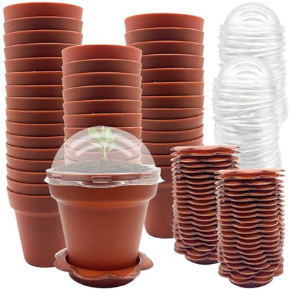 PURPLE STAR 1N 50 Packs Cupcake Plant Nursery Pots with Humidity Dome- Planting Containers Cups- Small Flower Pots with Trays & Lids for Indoor Outdoor Seedling Succulent Vegetable (Wine Red) - color: 50 Packs