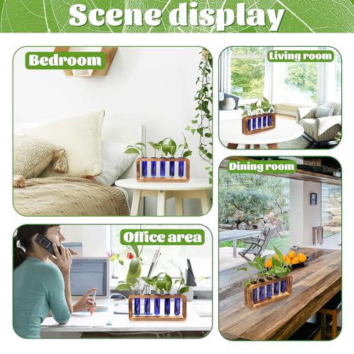 Glass Plant Propagation Station with 5 Test Tubes Colorful Planter Vase - color: Blue