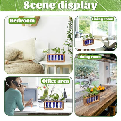 Glass Plant Propagation Station with 5 Test Tubes Colorful Planter Vase - color: Blue