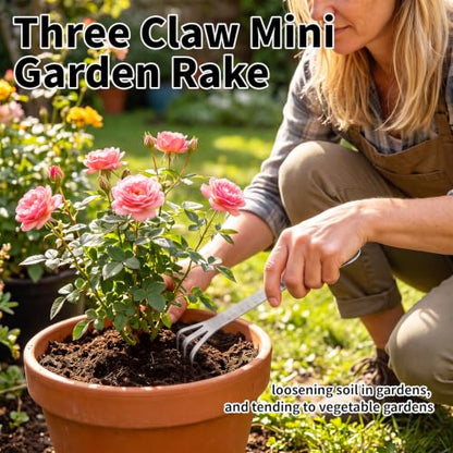 Repotting Root Rake Small Hand Rake,Root Hook Potted Plants Care Claw Hook - color: 2 Pack