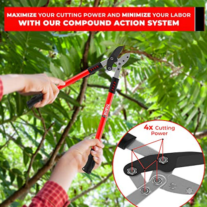 TABOR TOOLS GG12A Anvil Lopper with Compound Action, 30 Inch Tree Trimmer & Branch Cutter, Heavy Duty Tree Pruner with 2 Inch Cut Capacity, Chops Thick Dry Branches with Ease - style: GG12A 30 Inch Anvil Lopper with lever