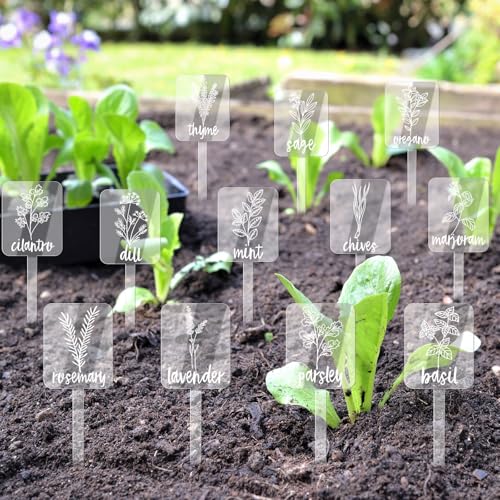 Whaline 24Pcs Acrylic Plant Label Signs 12 Styles Planted Herb Garden Markers Transparent Waterproof Plant Stake Tags with Herb Names for Nursery Indoor Outdoor Garden Decoration - color: Transparent