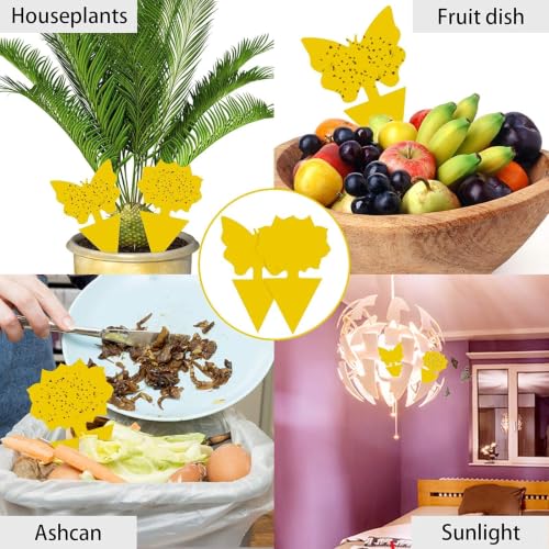 40 Pack Fungus Gnat Traps, Yellow Sticky Fruit Fly Traps for Indoor Plants - size: 40 packs