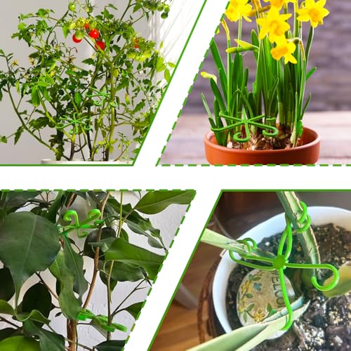 4Pcs Plant Stem Supports,Climbing Houseplant Stakes Holders Reusable Trellis Hook for Indoor Outdoor Plants Flowers Growth,4 Sizes