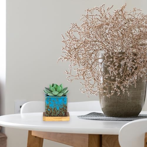 Set of 10 Succulent Pots with Drainage Trays, Small Square Plant Pots Bulk - color: 2.1"colorful - 10pcs