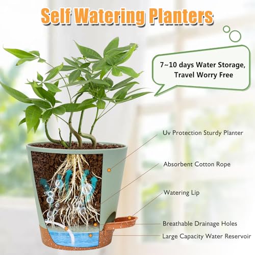 Vanslogreen Planters for Indoor Plants 7/6.5/6/5.5/5 Inch, Self Watering Planters with Drainage Holes and Saucers 5 Pack Plastic Pots for Plants, Succulents, Herbs, Cactus, Flower Pots, Green - color: Green-pack of 5, size: 5PCS|7+6.5+6+5.5+5