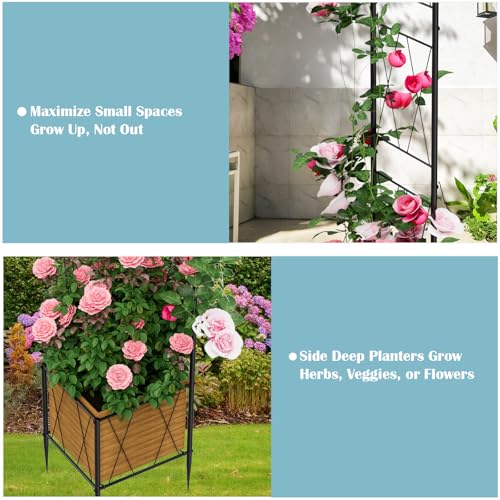 Heavy Duty Garden Arch Trellis for Climbing Plants Metal Garden Arbors