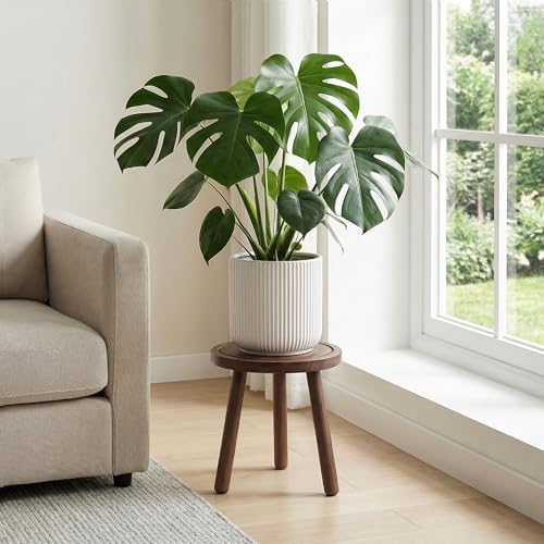 Wood Plant Stands Indoor, Updated Single Plant Stand Modern Plant Table for Large Plants, Wooden Plant Stool, Tall Plant Holder Small Round Side for Living Room, Balcony, Office (Dark Brown) - color: Dark Brown
