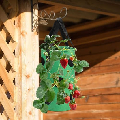 Upside Down Tomato Planter-3 Gallon Hanging Strawberry Planter Durable Aeration Fabric Grow Bags for Vegetables (Set of 2- Red and Green) - color: Set of 2- Red and Green