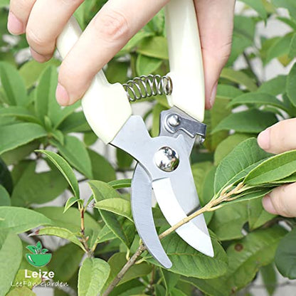 Leize Flower Scissors Set, 2 Pack Premium Thickened Stainless Steel Floral Shears, Strong Pruner for Flowers, Branches and Leaves, Upgrade - color: Cream2p