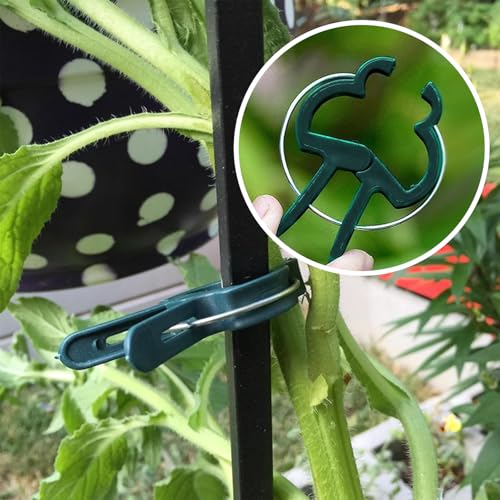 Plant Clips for Climbing Plants, Garden Support for Tomatoes & Vine - size: 120 Small