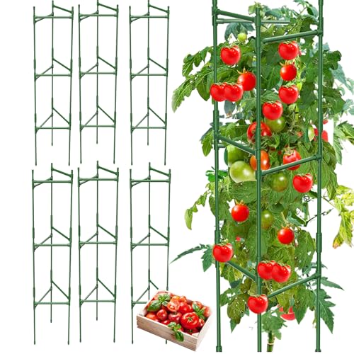 6 Pack Tomato Cage,Tomato Cage for Raised Garden Bed, 48'' Tall Tomato TrellisTriangle or Square Cages for Garden,Pots, Plant Cages & Supports（Green, Extra Bold ） - style: 6 pack