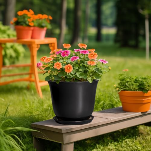 Ceramic Pots for Plants, 10 Inch Plant Pot with Drainage, Black - color: Black, size: 10 Inch