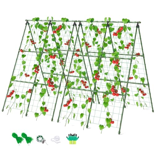 Miory Cucumber Trellis, 32"x48" 2 Pack A-Frame Trellis for Raised Bed, Garden Trellis for Climbing Plants Outdoor, Plant Support for Vegetables Vines - size: 32"Lx48"H 2pcs