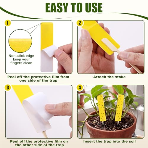36 PCS Yellow Sticky Traps for Plant Gnats, Fungus Gnat Trap (4" x 1") - color: Yellow