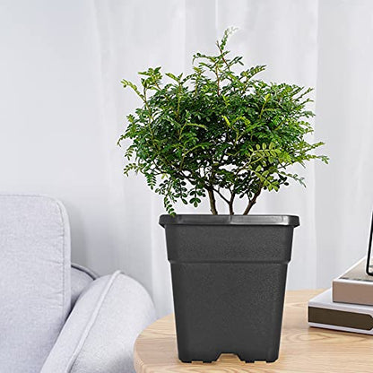 Square Planter Nursery Pots 9.77 Gallon Pots for Plants, Injection Molded Plastic Nursery Pots, Plant Container 9.77 Gal 5-Pack - color: Black, size: Square-14inch-5pcs