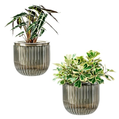 Melphoe Self Watering Pots for Indoor Plants Planter, 8.3 Inch 2 Pack Planters Self Watering Plant Pots for Flower, Houseplants, Succulent, African Violets and Cactus with Drainage - color: Light Grey, size: 8.3''