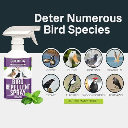 Bird Repellent Spray (32 OZ) Deter Birds from Outdoor Surfaces, Garden Areas Deterrent Natural Woodpecker, Pigeon and More Natural
