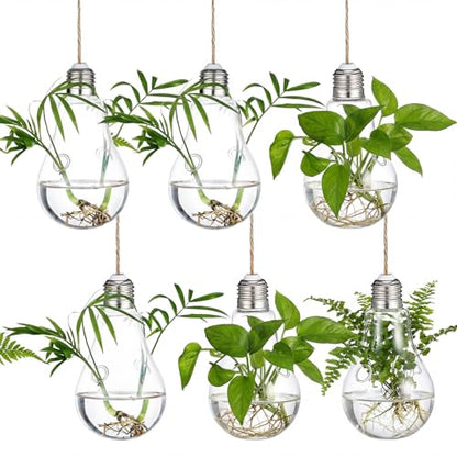 6pcs Hanging Propagation Stations, Glass Bulb Vases with Rope for Indoor