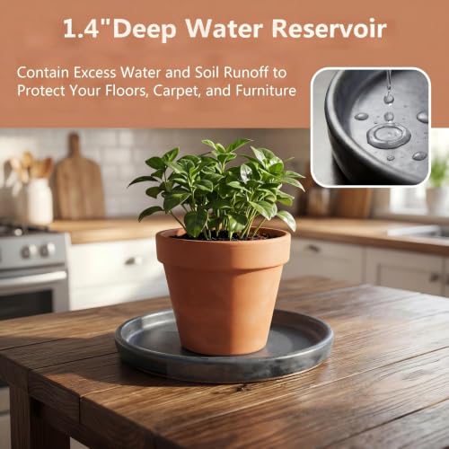 Ceramic Plant Saucer, 11.4 Inch, Gray - color: Gray