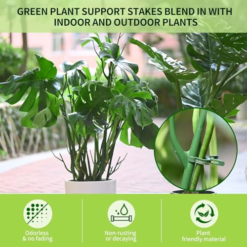 Yhtpouqe 9 Pack Green Plant Support Stakes Plant Stakes for Indoor and Outdoor Plants. 39.37inch Plant Sticks with Extension Poles, Plant Clips,Plant Ties for Potted Monstera Plants, Climbing Plants - size: 39.37"- 9 Pack