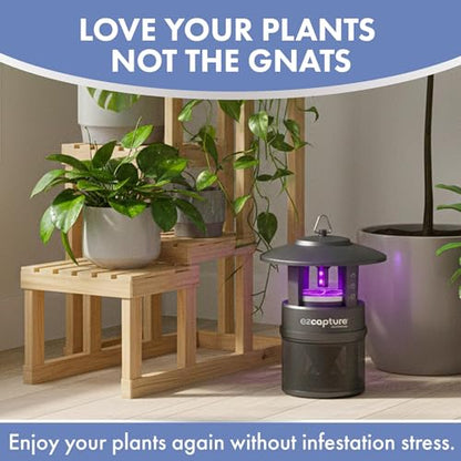 EZCapture T10 Indoor Bug Trap with Fan Suction - Versatile LED Flying Insect Trap for Indoor and Outdoor Use - No Zapping Noise, for Fruit Fly, Gnat, and Mosquitoes, 5 Glue Boards Included