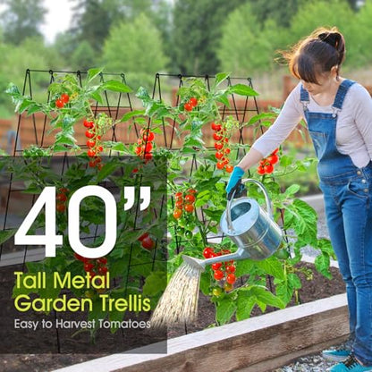 RIFNY Cucumber Trellis for Raised Bed, Garden Trellis 16.5 x 40 Inch, Black - color: Black, size: 16.5 x 40 Inch