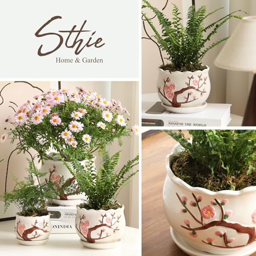 Ceramic Plant Pots with Drainage Holes and Saucers, Small Planters Set of 3 - color: White01