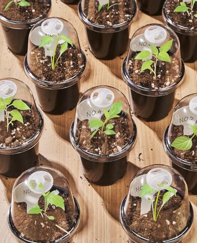 homenote 4 Inch Black Nursery Pots with Humidity Domes and Labels (30 Pcs) - color: Black-with Lid, size: 4 Inch-30 Pack