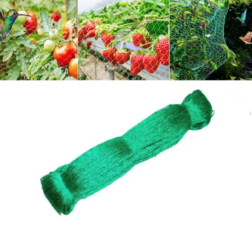 Bird Garden Netting - 6.5FT * 16.5T Heavy Duty Bird & Animal Protection for Plants, Fruits, and Vegetables - size: 6.5*16.5FT