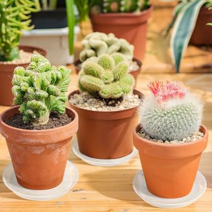 Augshy 18 Pack Plant Suacer 6 Inche Plant Drip Trays - color: Clear, size: 6 Inch