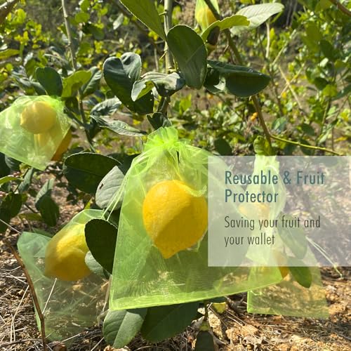 Fruit Protection Bags, Fetanten 4x6 in Mesh Drawstring Bag for Fruit Trees - size: 4 x 6 Inch 40pcs