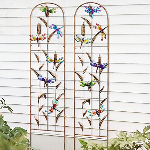 2 Pack Metal Garden Trellis for Climbing Plants - style: Dragonfly