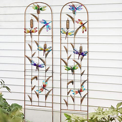 2 Pack Metal Garden Trellis for Climbing Plants - style: Dragonfly