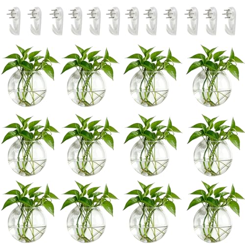NUPTIO Glass Wall Hanging Planters: Clear Terrarium for Living Room, 12 Pcs - size: 12 Pcs