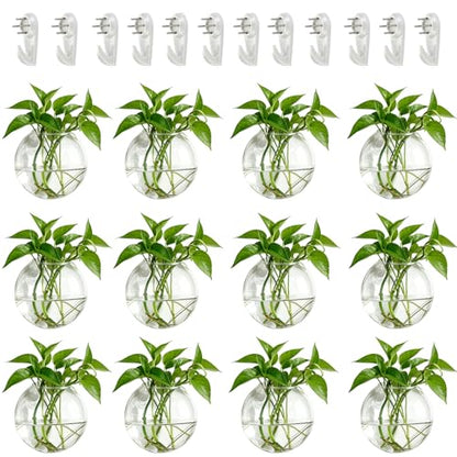 NUPTIO Glass Wall Hanging Planters: Clear Terrarium for Living Room, 12 Pcs - size: 12 Pcs