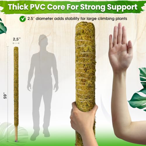 DUSPRO 59" Natural Large Moss Pole for Big & Mature Plants, (1pc., 59'') - size: 59" NATURAL MOSS POLE for BIG PLANTS
