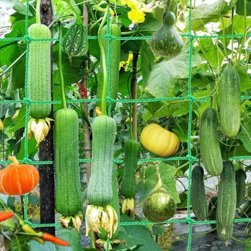 Garden Trellis Netting Plant Support Mesh Heavy Duty Climbing Lattice Square Grid Screen for Vine Vegetable Cucumber (Green) - color: Green