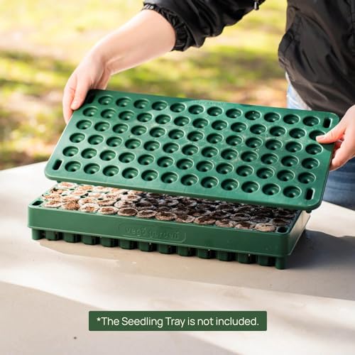 Vego garden 3-in-1 Plant & Pop Board Seedling Popper Tool, 10" x 20", Works Perfectly with Stackable Seedling Trays - size: 1 Pack, style: Plant & Pop Board