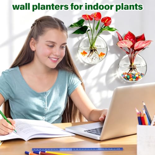Window Propagation Stations, Wall Hanging Planters for Hydroponics