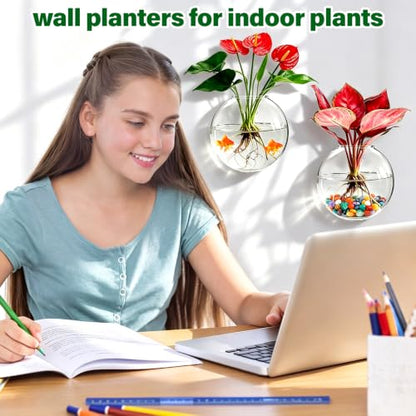 Window Propagation Stations, Wall Hanging Planters for Hydroponics