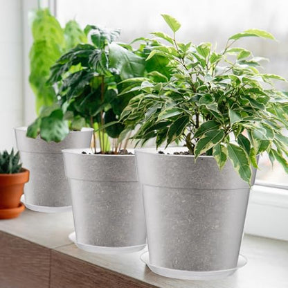 Baderke 3 Pack Clear Nursery Pot,8 Inches,9.25 Inches,9.6 Inch - size: 8 Inches, 9.25 Inches, 9.65 Inches