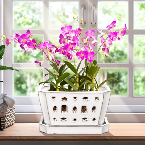 Teenyyou 7 Inch Ceramic Orchid Pot with Holes and Saucer Repotting,White - color: White