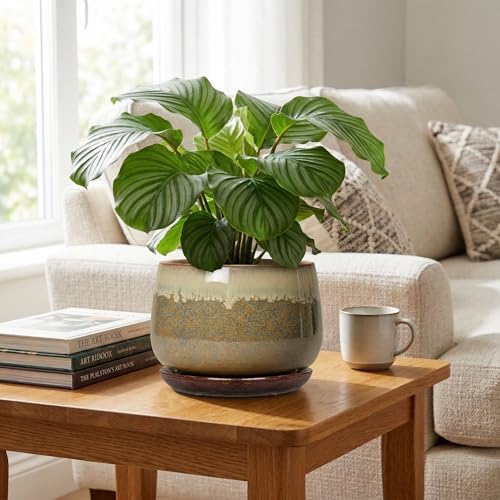 Ceramic Planter, 9 Inch Ceramic Plant Pots Indoor, Brown-Beige - size: 9 Inch, style: Brown-beige