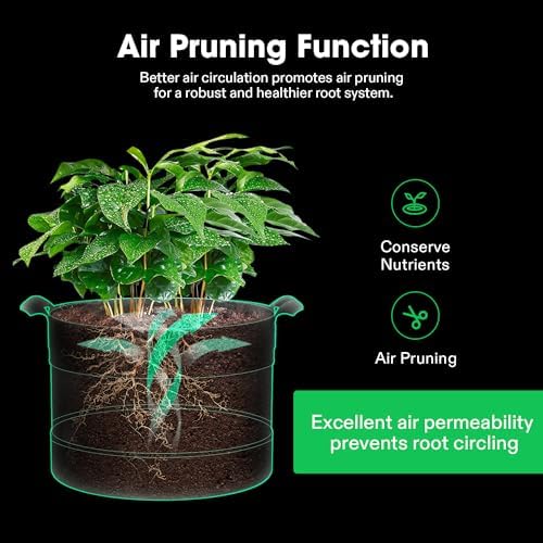 VIVOSUN 3-Pack 10 Gallon Potato Grow Bags, 360° Visibility Harvest Window - size: 10 Gallon